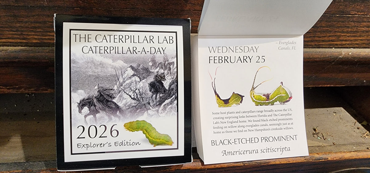2026 Caterpillar-A-Day 365 Calendar --EXPLORERS EDITION (NEW