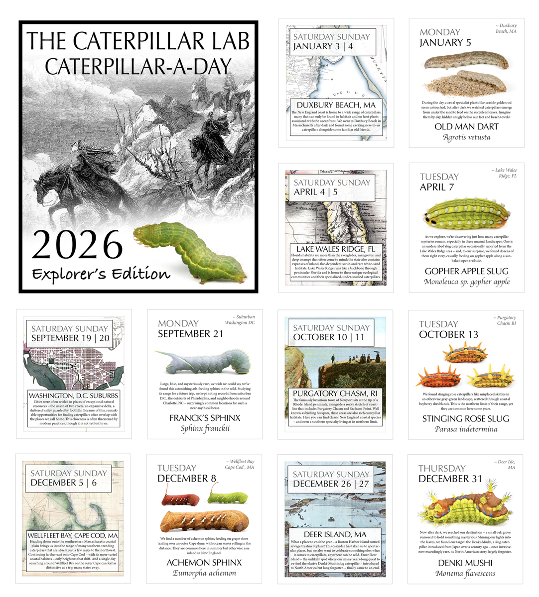 2026 Caterpillar-A-Day 365 Calendar --EXPLORERS EDITION (NEW