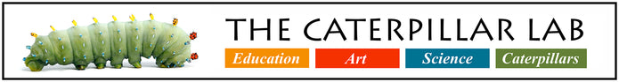 The Caterpillar Lab