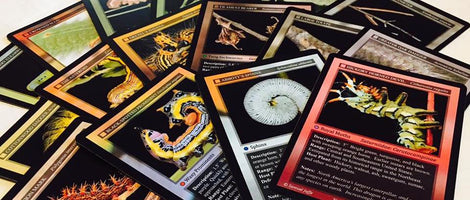 Playing Cards, Trading Cards, &amp; Other Fun