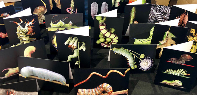 Notecards &amp; Stationary