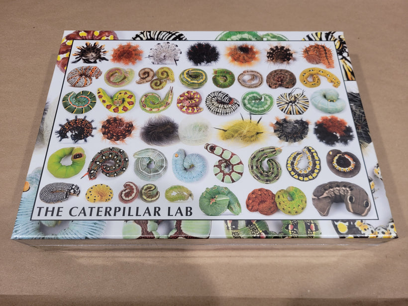 Original Caterpillar Puzzles