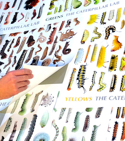Original Caterpillar Posters