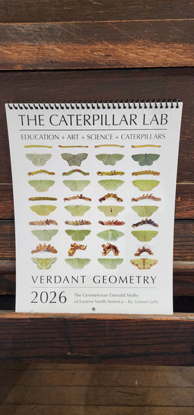 2026 Twelve Month Calendar -- Verdant Geometry (NEW)