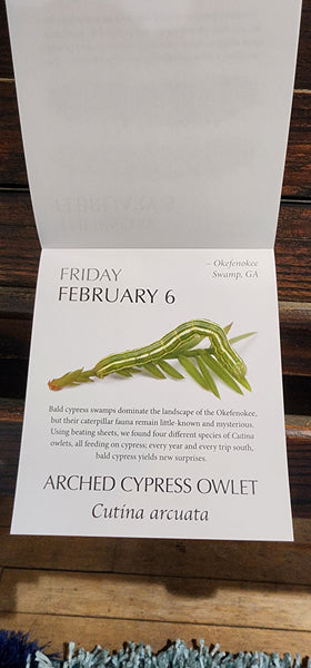 2026 Caterpillar-A-Day 365 Calendar --EXPLORERS EDITION (NEW)