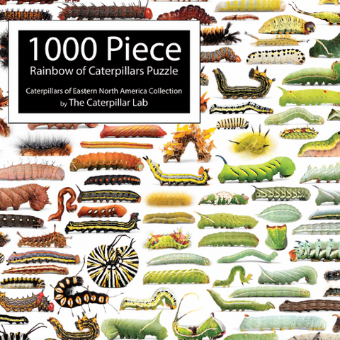Rainbow of Caterpillars 1000 PIECE PUZZLE