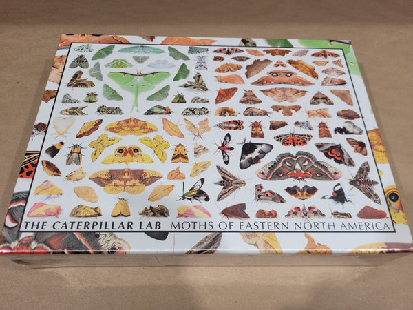 Rainbow of Moths 1000 PIECE PUZZLE