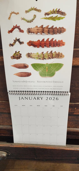 2026 Twelve Month Calendar -- Verdant Geometry (NEW)