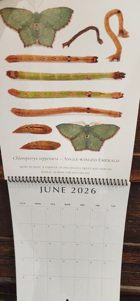 2026 Twelve Month Calendar -- Verdant Geometry (NEW)