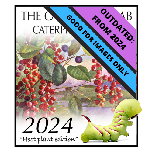 2024 Caterpillar-A-Day 365 Calendar - Host Plants Edition