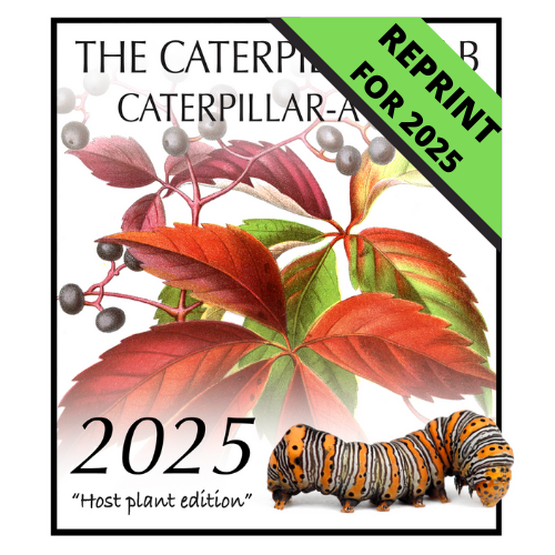 2025 Caterpillar-A-Day 365 Calendar - Host Plants Edition REPRINT