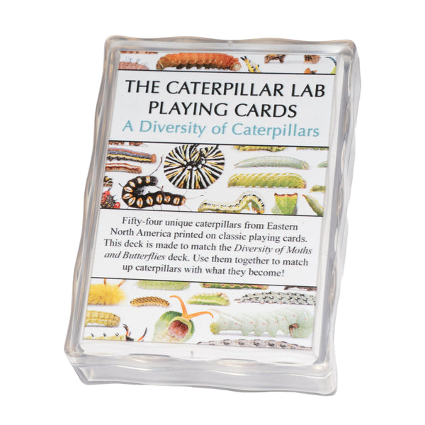 Playing Cards and Matching Game: Caterpillar and Moth Decks