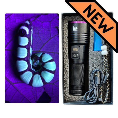 UV Flashlight