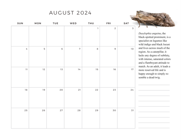 2024 Twelve Month Calendar - Classic Black Background