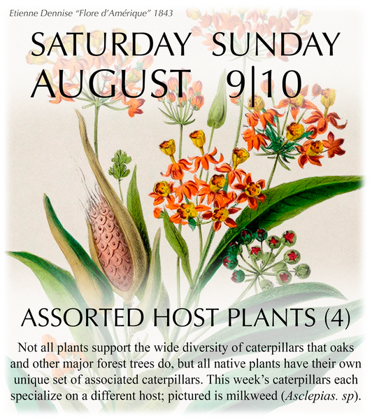 2025 Caterpillar-A-Day 365 Calendar - Host Plants Edition REPRINT