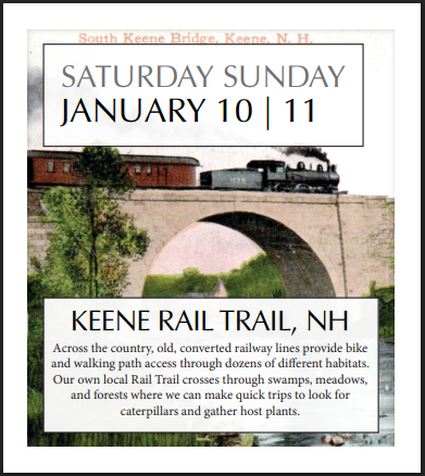 PRESALE: 2026 Caterpillar-A-Day 365 Calendar --EXPLORERS EDITION (NEW)