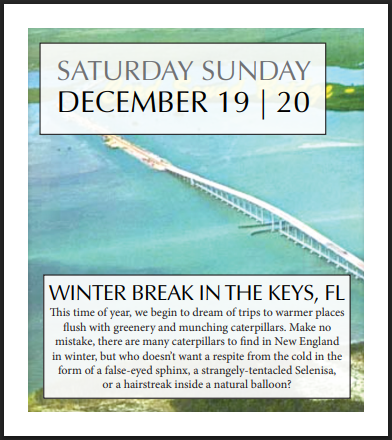 PRESALE: 2026 Caterpillar-A-Day 365 Calendar --EXPLORERS EDITION (NEW)