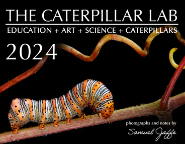 Vintage Calendars - 12-Month and Page-a-day Calendars from previous years