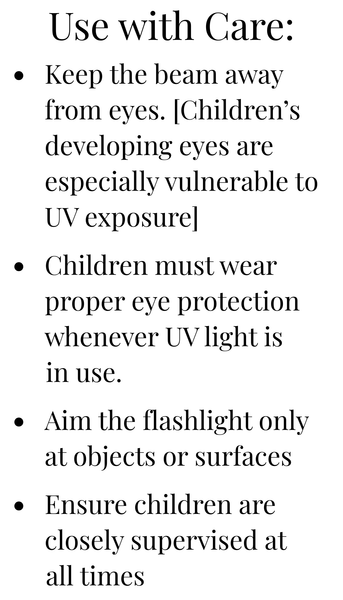 UV Flashlight