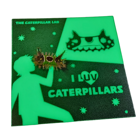 GLOW IN THE DARK Caterpillar Sticker - "LUV Caterpillars"