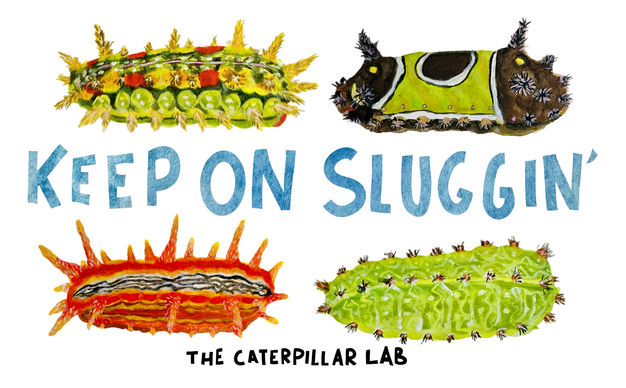 Illustrated Bumper Sticker - "KEEP ON SLUGGIN' "
