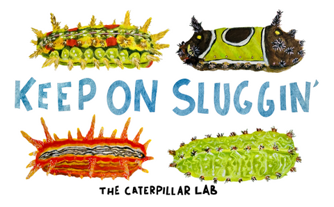 Illustrated Bumper Sticker - "KEEP ON SLUGGIN' "
