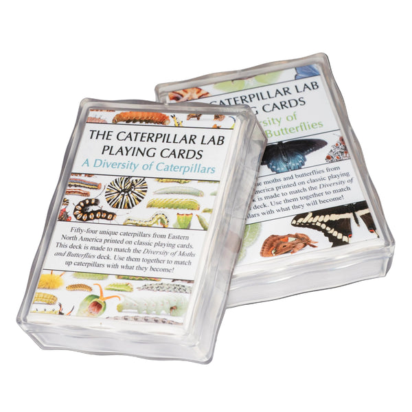 Playing Cards and Matching Game: Caterpillar and Moth Decks