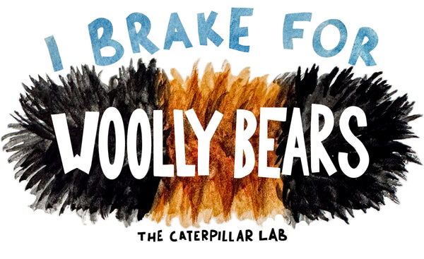 Illustrated Bumper Sticker - "I BRAKE FOR WOOLLY BEARS"