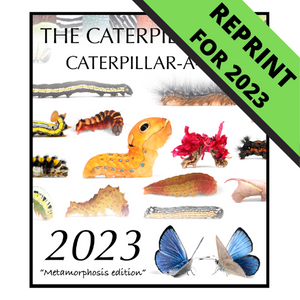 2023 Caterpillar-A-Day 365 Calendar - Metamorphosis Edition REPRINT