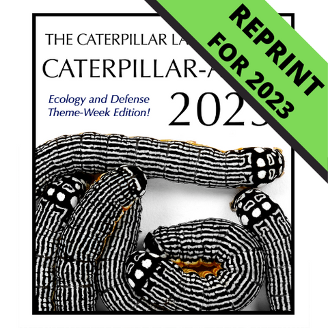 2023 Caterpillar-A-Day 365 Calendar - Theme Weeks Edition REPRINT