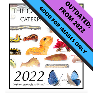 2022 REPRINT Caterpillar-A-Day 365 Calendar - Metamorphosis Edition