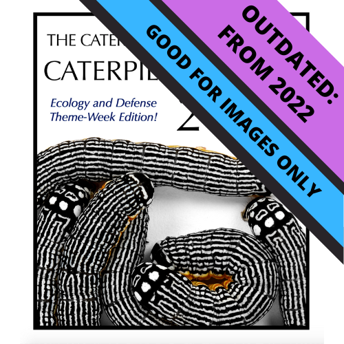 2022 Caterpillar-A-Day 365 Calendar - Theme Weeks Edition – The Caterpillar  Lab