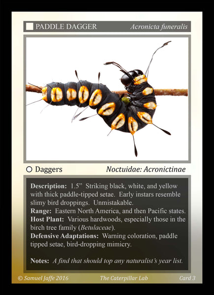 Caterpillar Trading Cards - 10 sets and 18 cards per set.  Collect all 180!