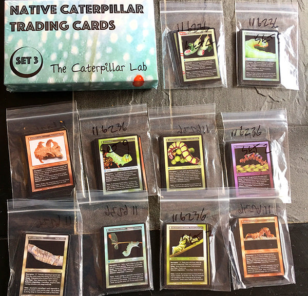 Caterpillar Trading Cards - Special Giant Silk Moth Only Pack