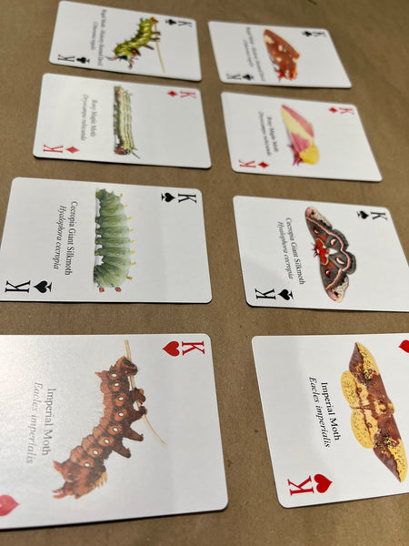 Playing Cards and Matching Game: Caterpillar and Moth Decks