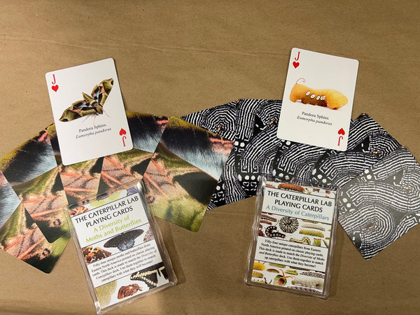 Playing Cards and Matching Game: Caterpillar and Moth Decks