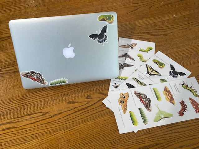 Metamorphism Sticker Vinyl Sticker Sheets - Die-cut Stickers Metamorphosis – The Caterpillar Lab