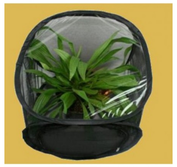 Popup Rearing & Observation Cages