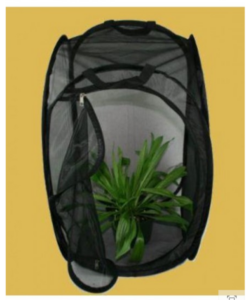 Popup Rearing & Observation Cages