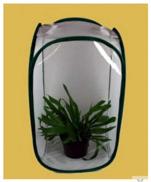 Popup Rearing & Observation Cages