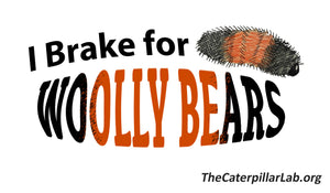 Bumper Sticker "I BRAKE FOR WOOLLY BEARS"