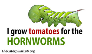 Bumper Sticker "I GROW TOMATOES FOR THE HORNWORMS"
