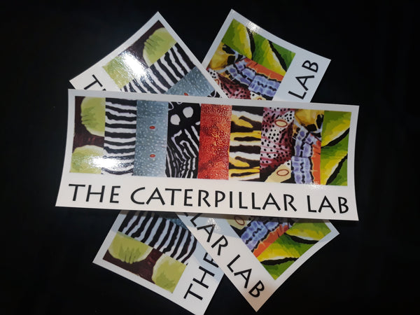 Bumper Sticker "The Caterpillar Lab" Textures
